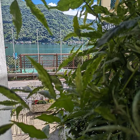 Il Cavallino, Sul Ceresio *